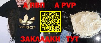 стаф Малоярославец