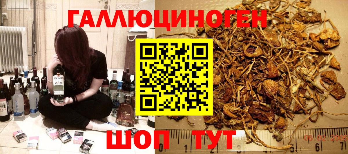 Галлюциногенные грибы Psilocybe  Псилоцибиновые грибы Magic Shrooms  сколько стоит  Вход с VPN  Тимашёвск 